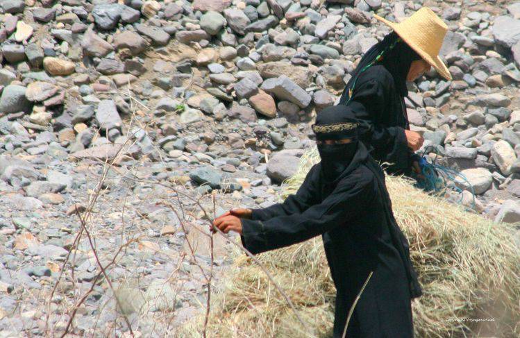 Femmes au travail wadi Sihan
Mots-clés: femme