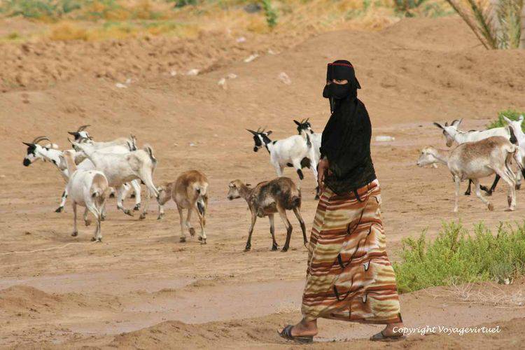 Dans la campagne du wadi Hadramwt
