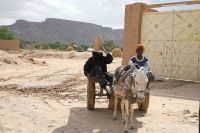 hadramaout-2376.jpg