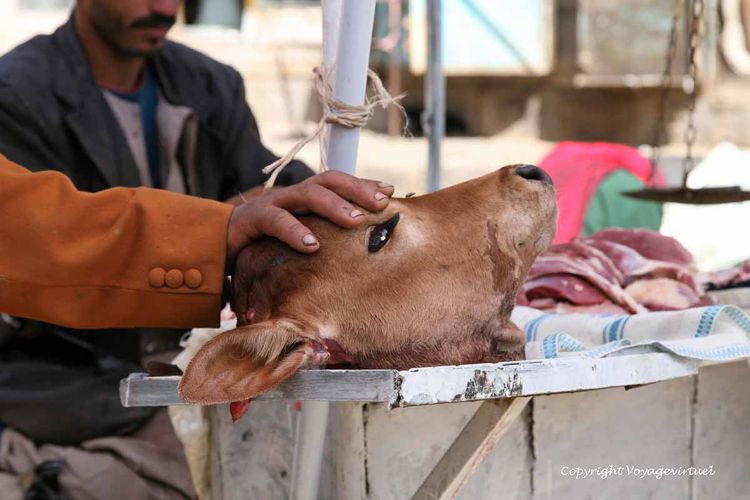 La main sur la tête de veau
Mots-clés: Shibam-du-nord