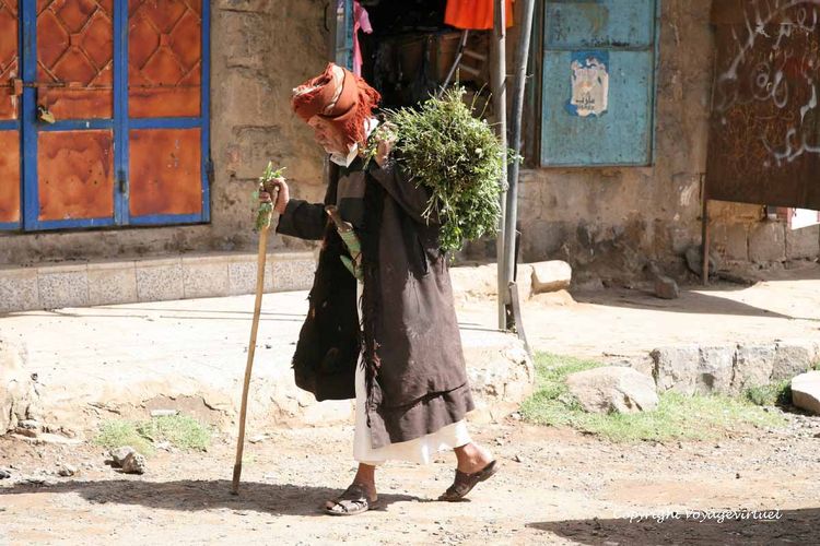 L'homme de la montagne
Mots-clés: Shibam-du-nord