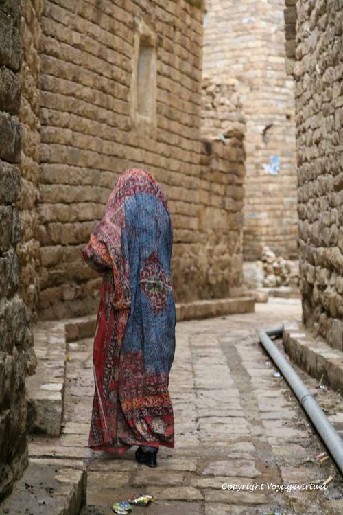 Femme drapée dans un sitara
Mots-clés: Thula femme sitara