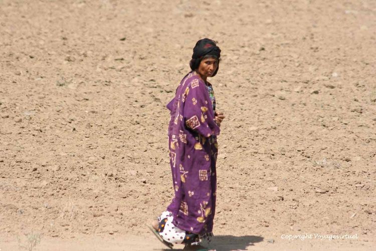 Regard sur fond de terre
Mots-clés: Tihama