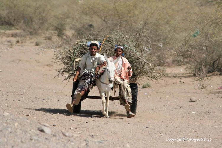 Scène de la vie quotidienne Tihama
Mots-clés: Tihama