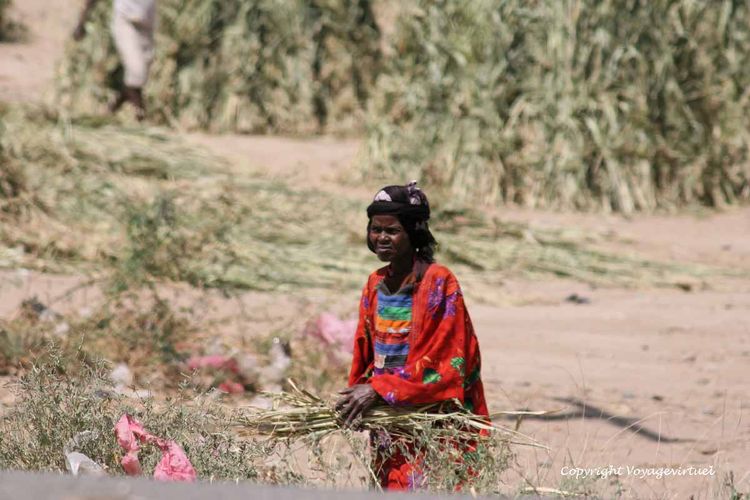 Robe éclatante
Mots-clés: Tihama
