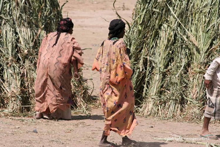 Autre costume de femmes en Tihama
Mots-clés: Tihama