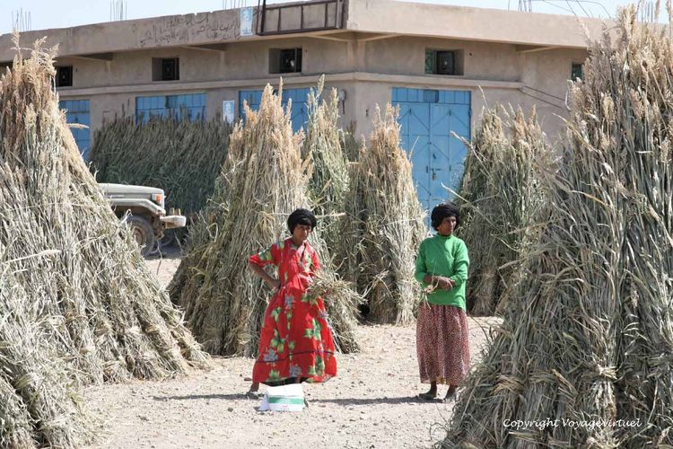 Les femmes sont plus libres de leur habillement
Mots-clés: Tihama