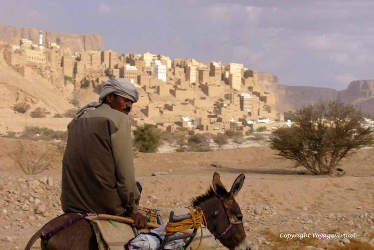 L'homme sur l'âne et Hajarein en toile de fond
Mots-clés: wadi-Doan âne