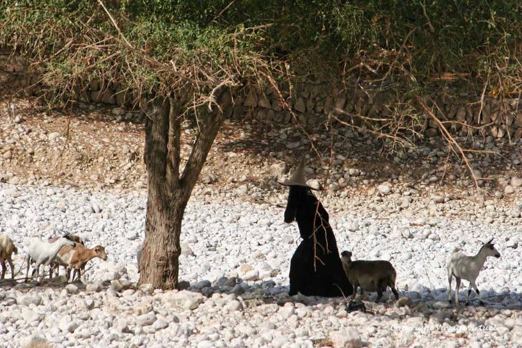 Vivons à l'ombre pour vivre caché
Mots-clés: wadi-Doan