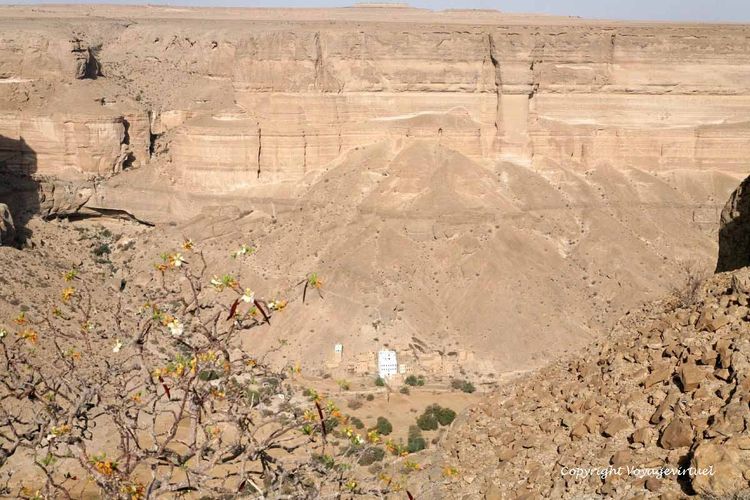 Les murailles rocheuses du wadi et le plateau de Jol
Mots-clés: wadi-Doan Jol