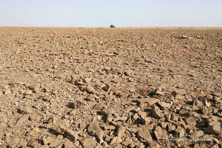 Désert pierreux du plateau de Jol
Mots-clés: Jol