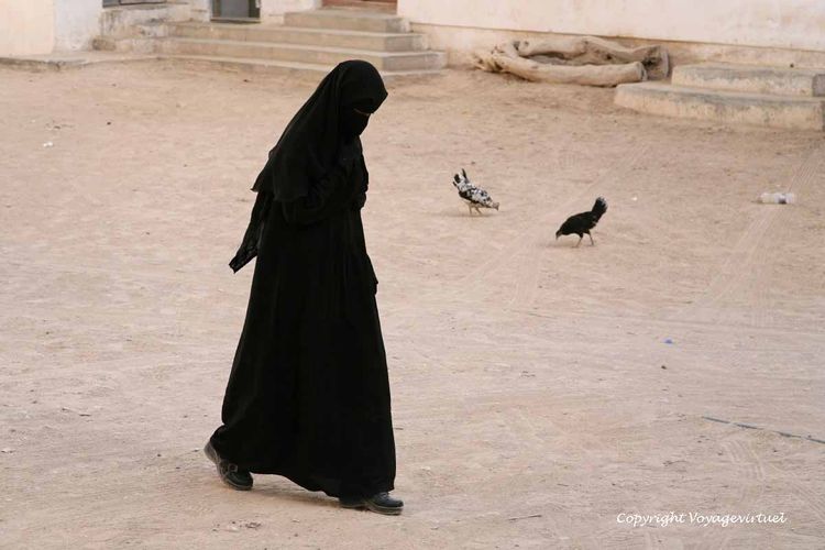 La femme et les poules Shibam du désert
Mots-clés: Shibam