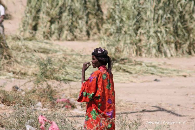 Approche africaine Tihama
Mots-clés: Tihama africaine