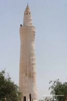 tihama-zebid-3161.jpg